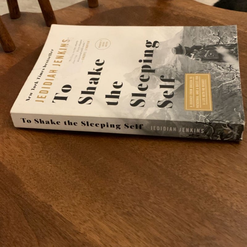 To Shake the Sleeping Self