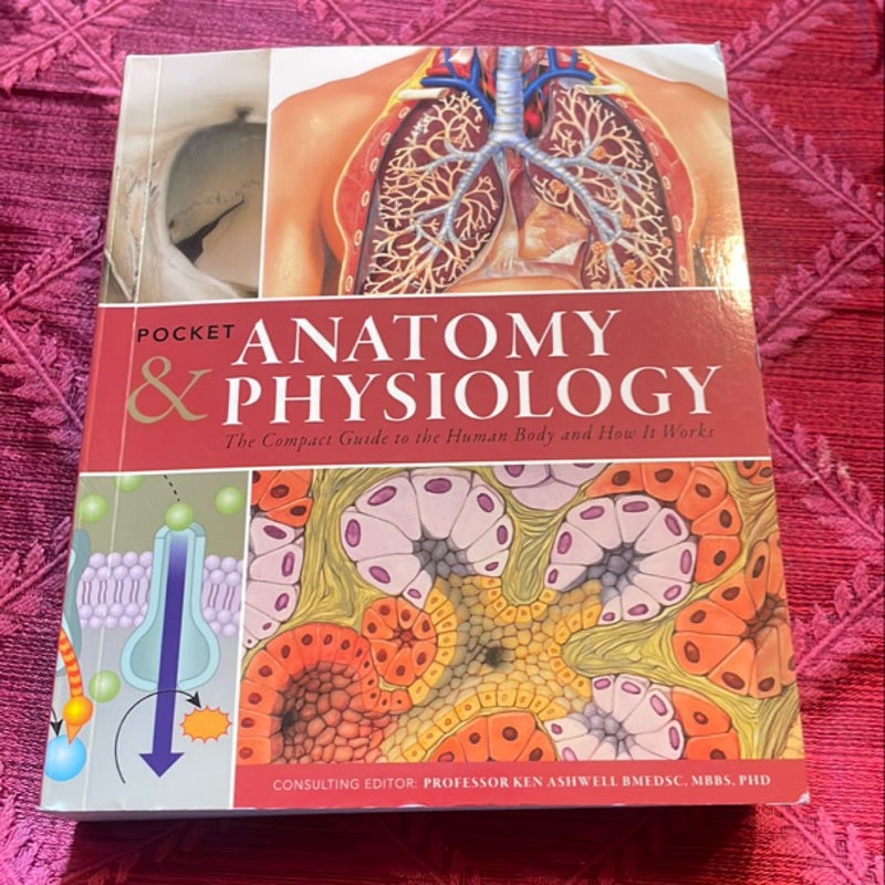 Pocket Anatomy and Physiology