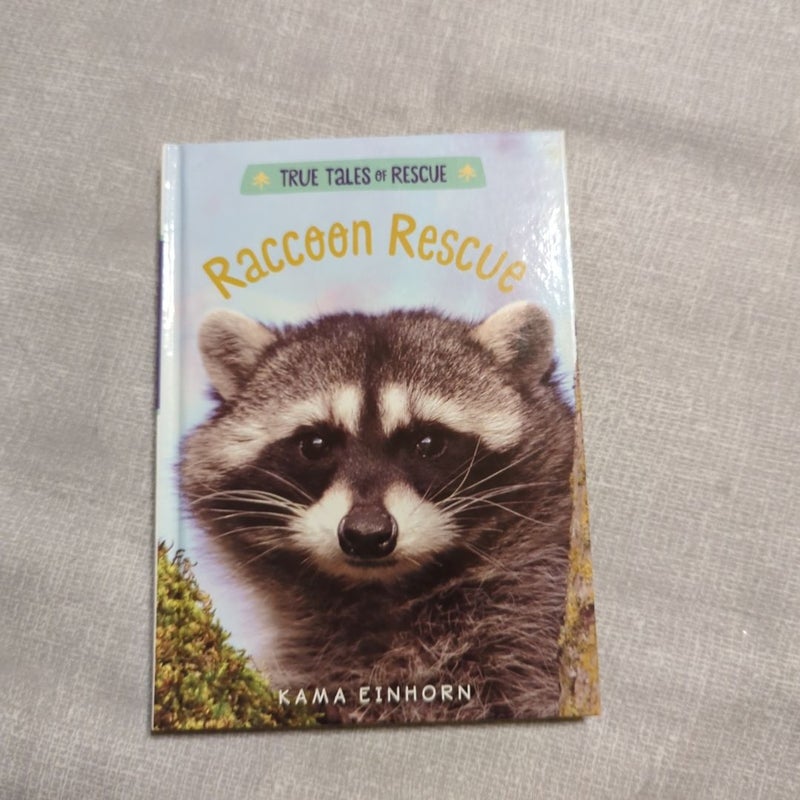 Raccoon Rescue