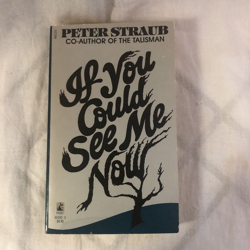 If You Could See Me Now