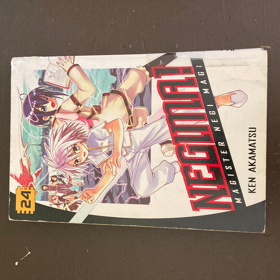 Negima! 24