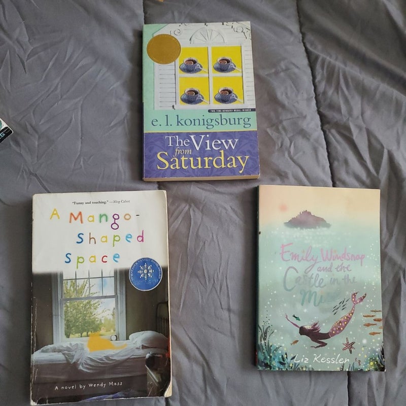 3 Book FICTION BOOK BUNDLE 