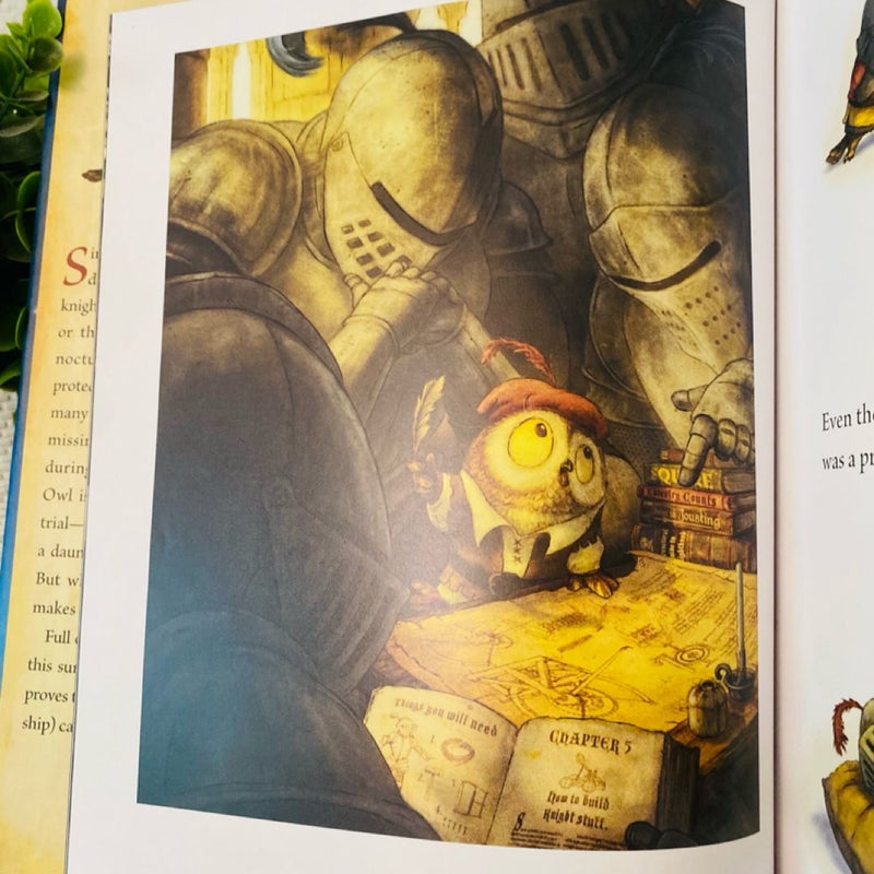 Knight Owl