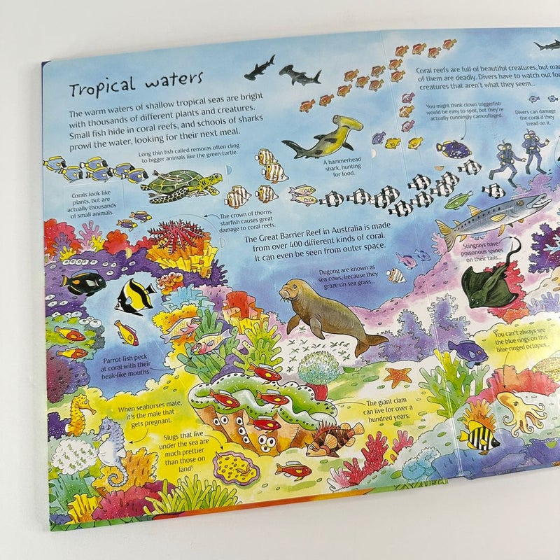 Usborne Flap Book-See Under the Sea