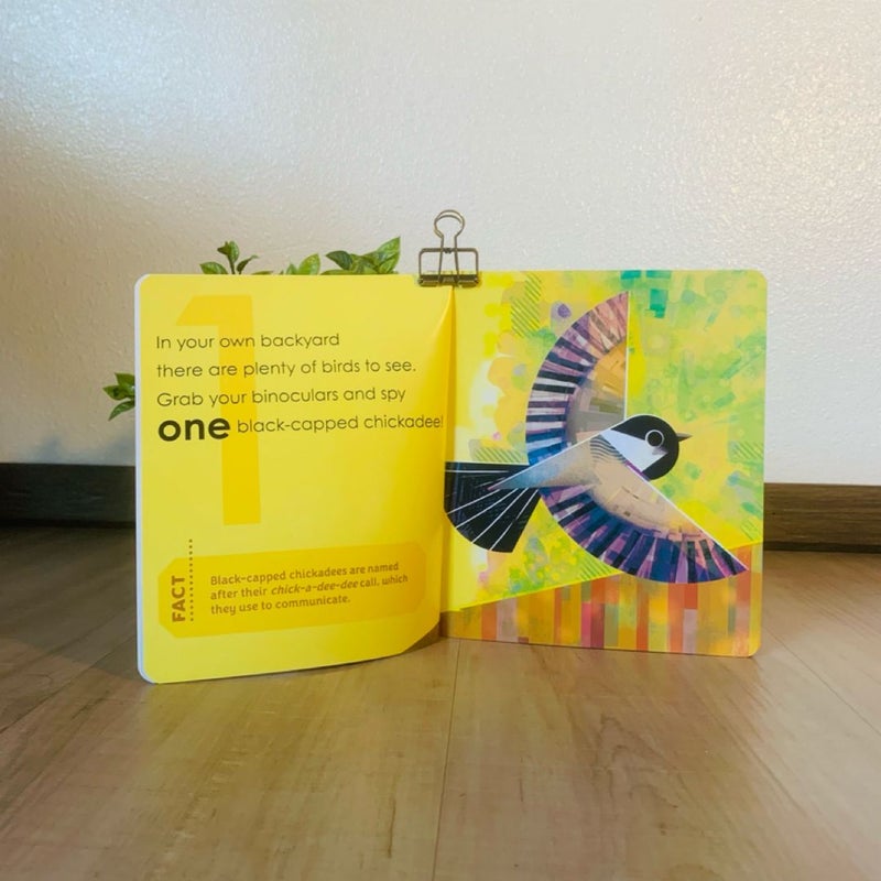 Birdind for Babies