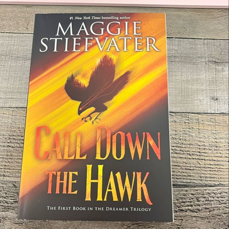 Call down the Hawk (the Dreamer Trilogy, Book 1)