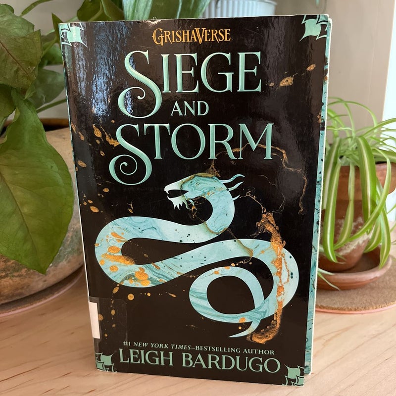 Siege and Storm