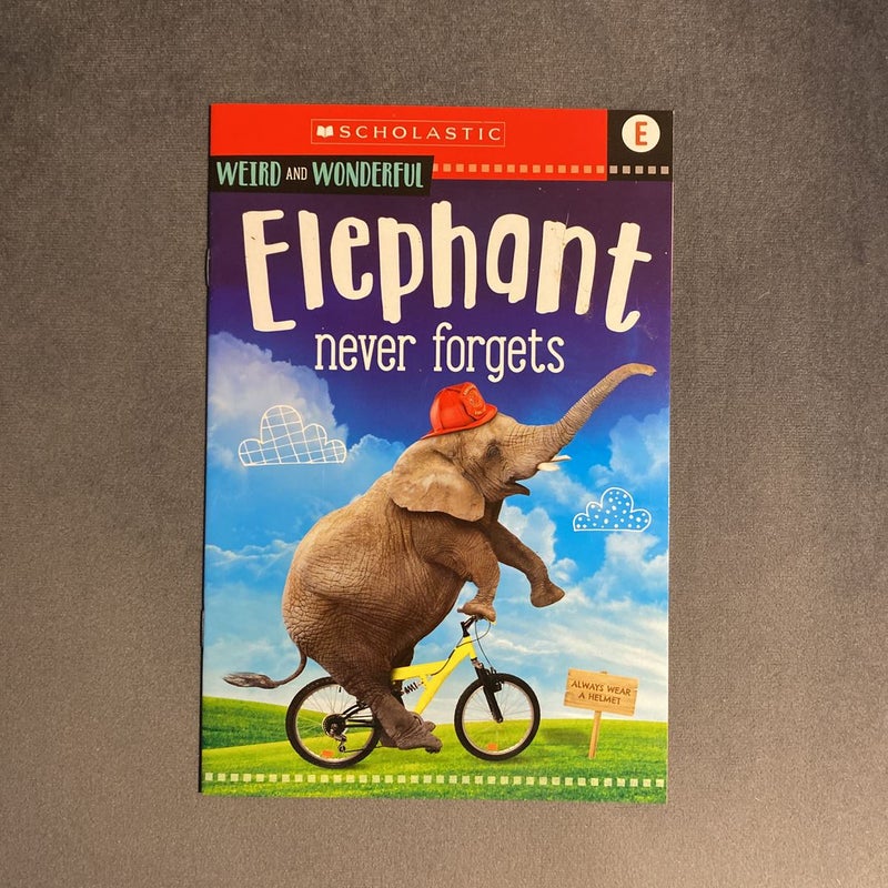 Elephant Never Forgets