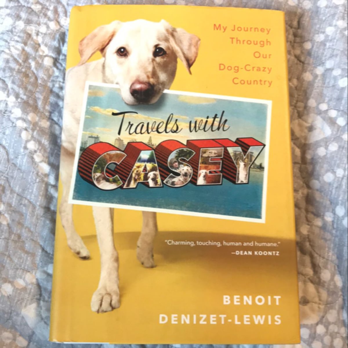 Travels with Casey by Benoit Denizet-Lewis