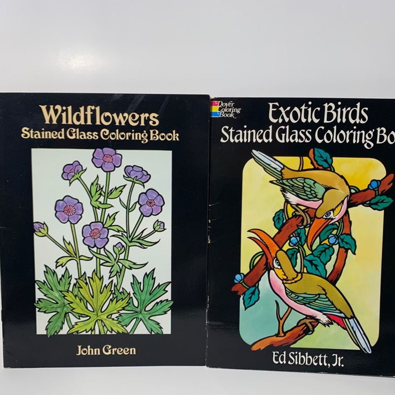 Wildflowers & Exotic Birds Vintage Stained Glass Coloring Book Lot 90s Nature