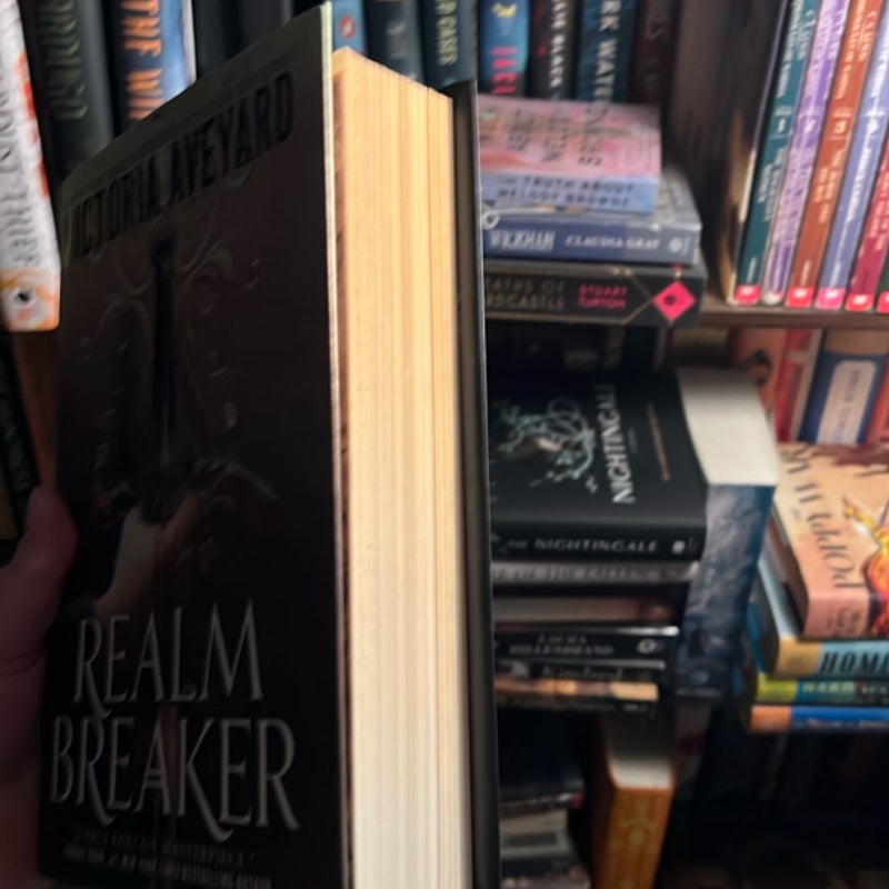 Realm Breaker