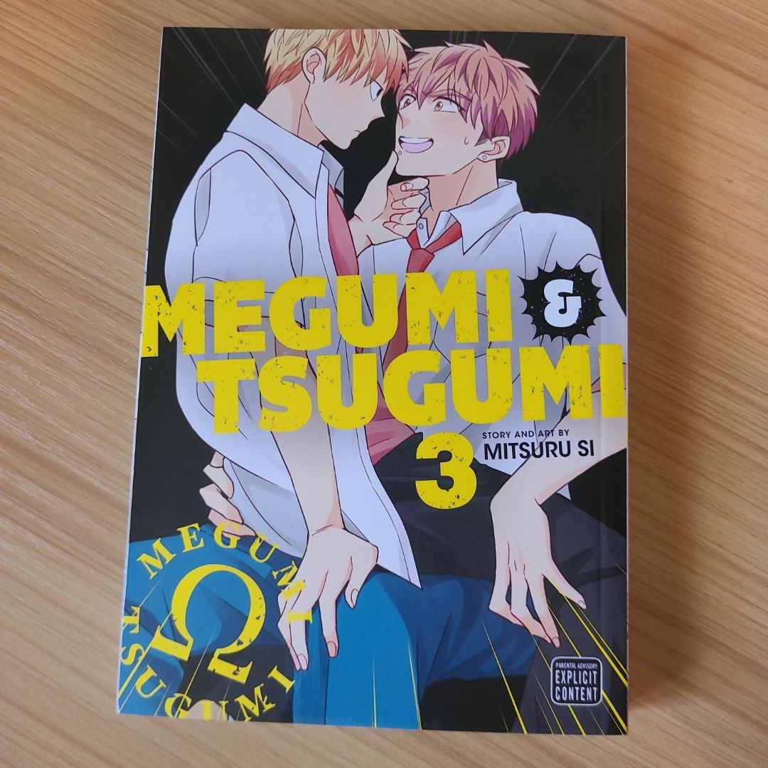 Megumi and Tsugumi, Vol. 3