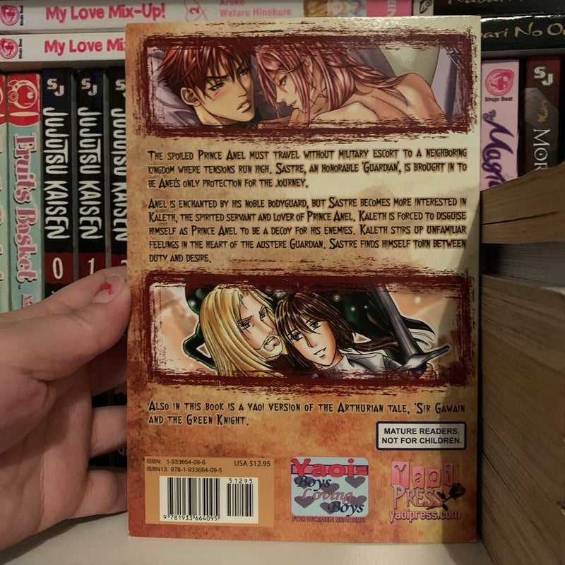 Saihoshi the Guardian 1-2