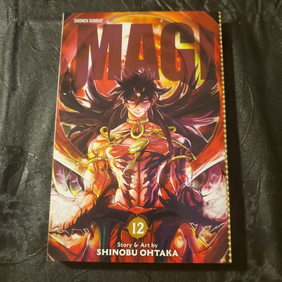 Magi: the Labyrinth of Magic, Vol. 12