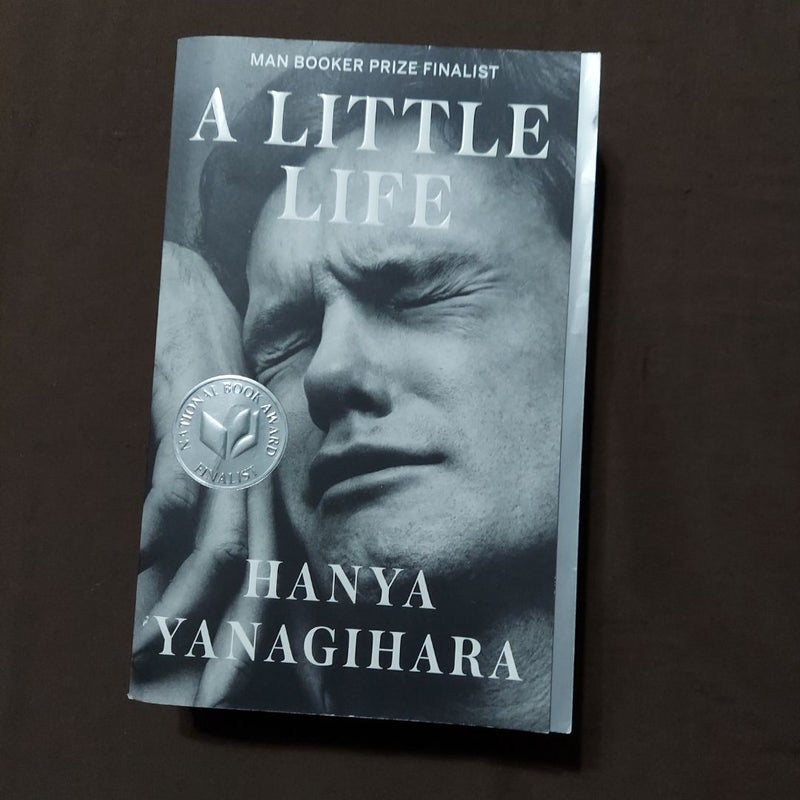 A Little Life