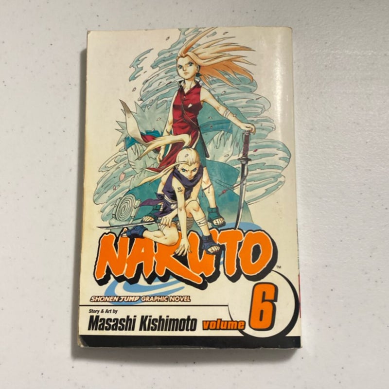 Naruto, Vol. 6