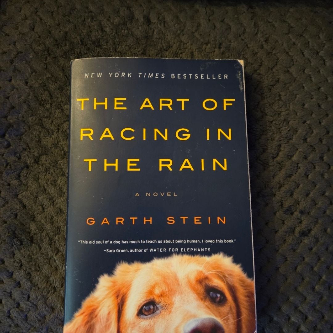 The Art of Racing in the Rain