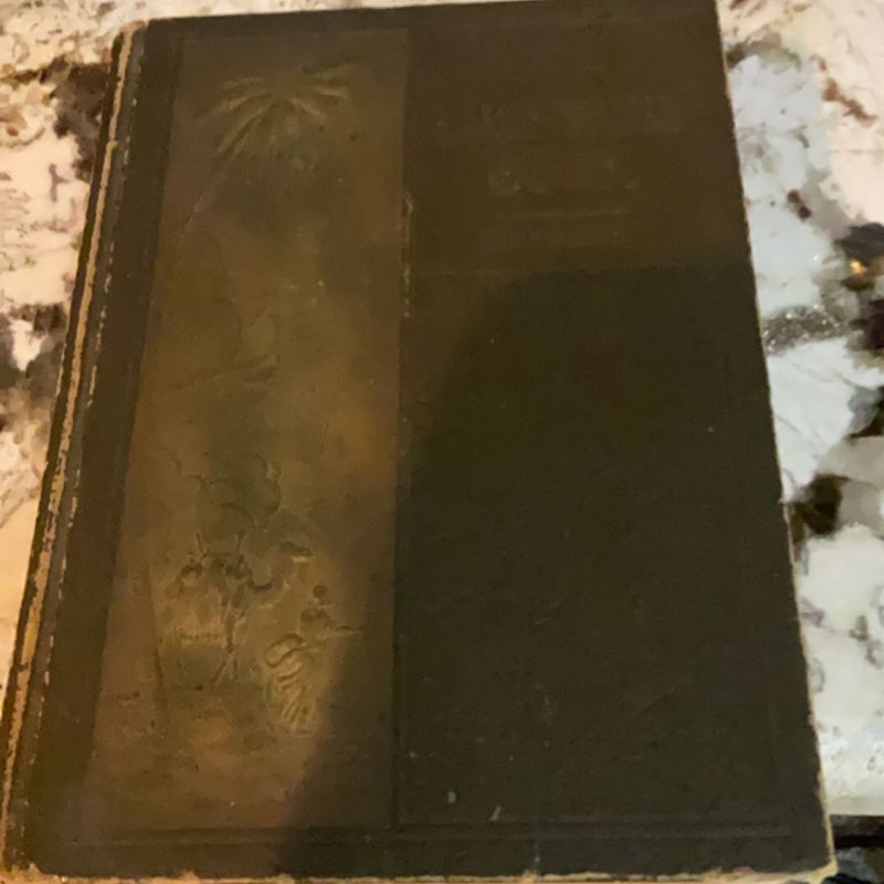 Bible story book