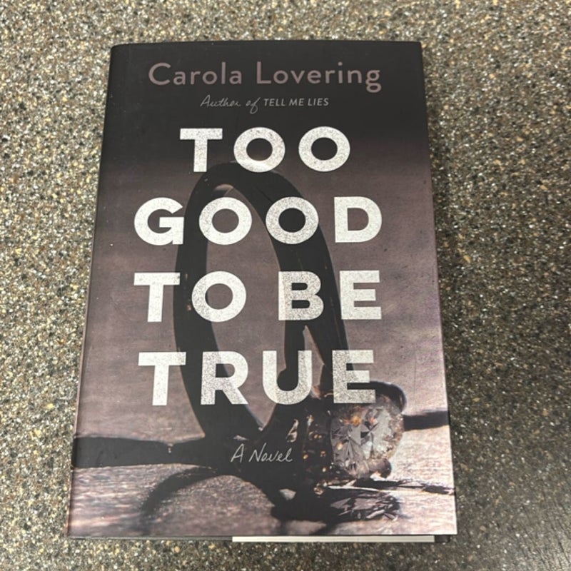 Too Good to Be True