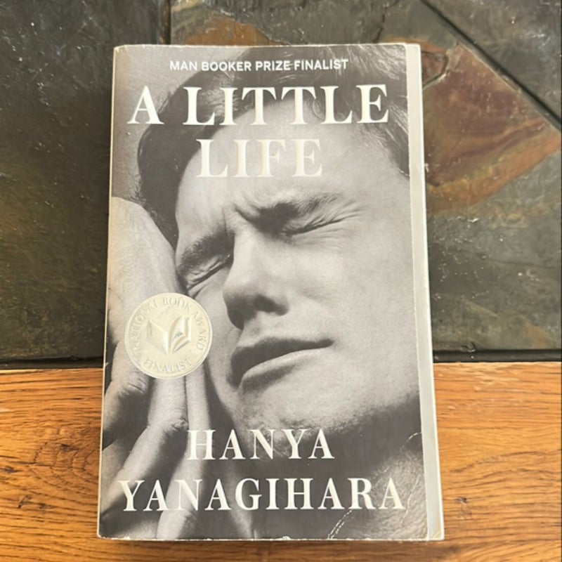 A Little Life