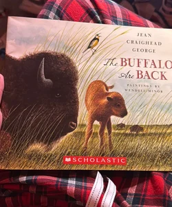 The buffalo are back