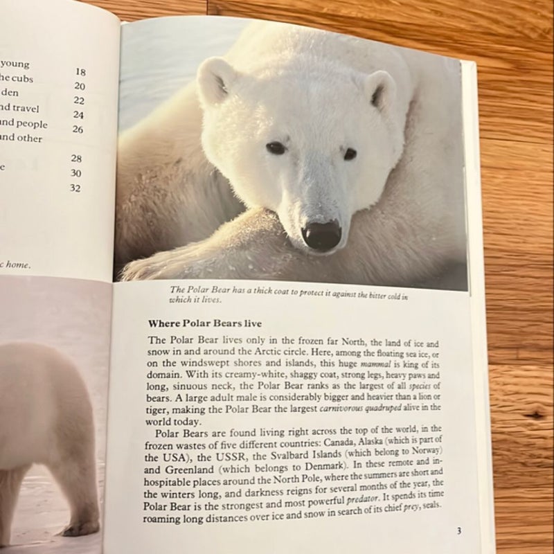 The Polar Bear on the Ice Animal Habitats