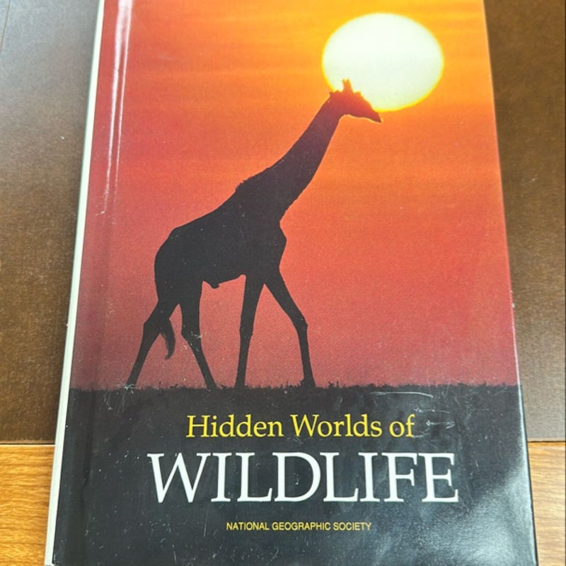 Hidden world of wildlife 