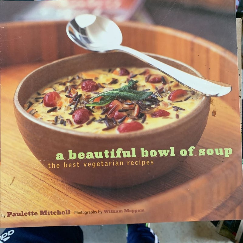 A Beautiful Bowl of Soup