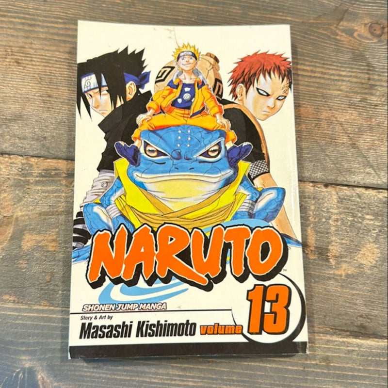 Naruto, Vol. 13