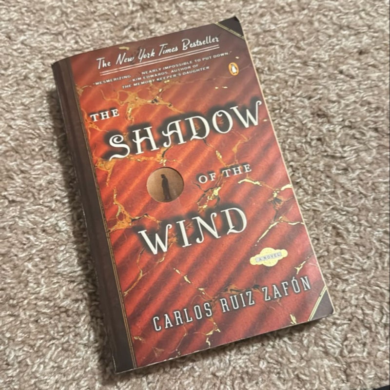 The Shadow of the Wind