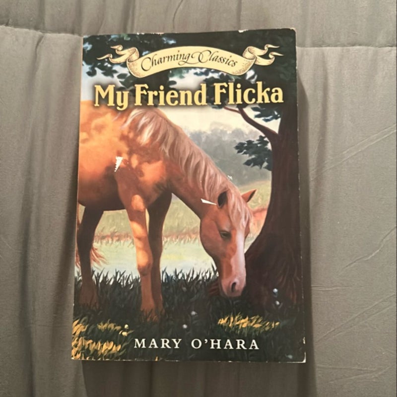 My Friend Flicka Book