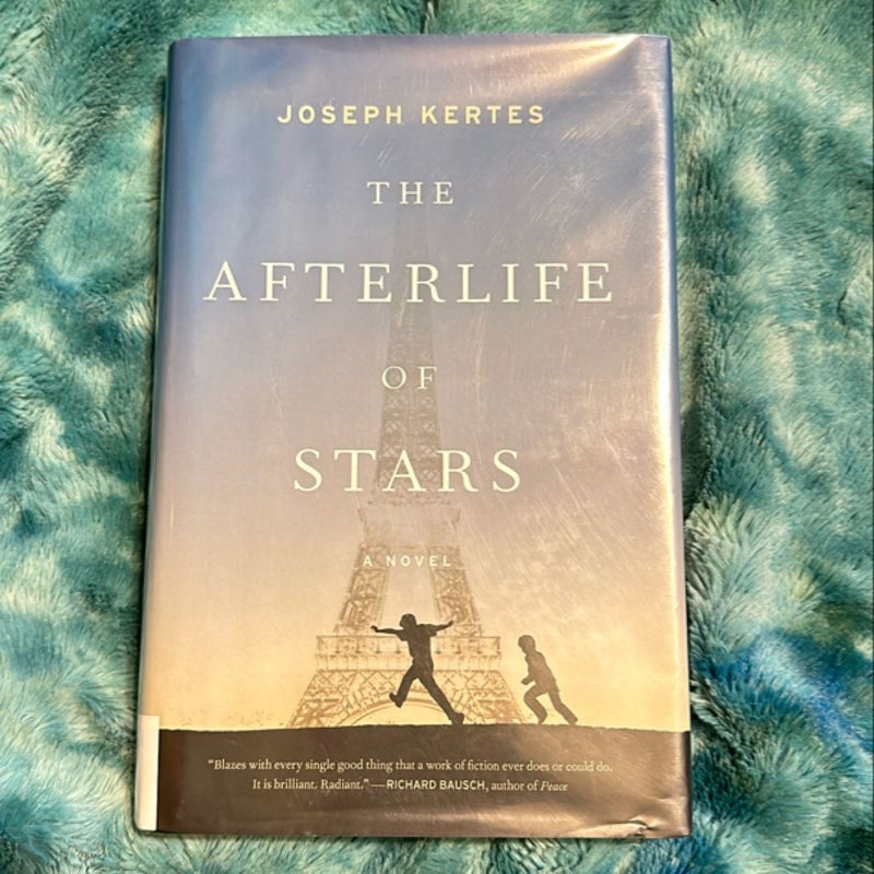 The Afterlife of Stars