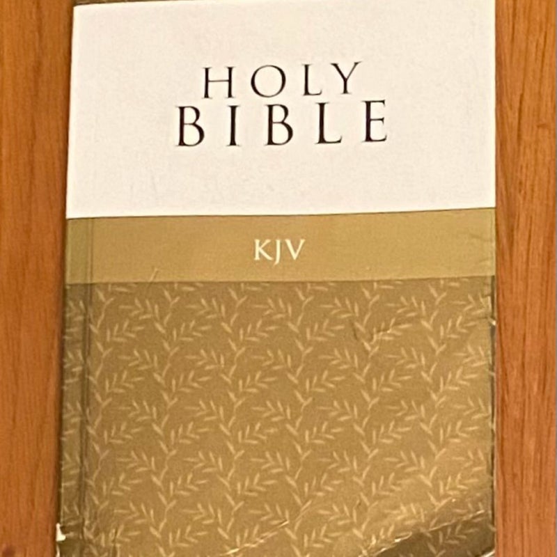 KJV Budget Softcover Gold