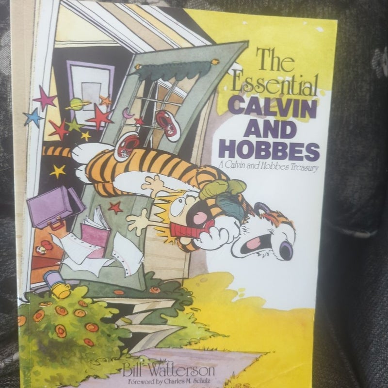 The Essential Calvin and Hobbes