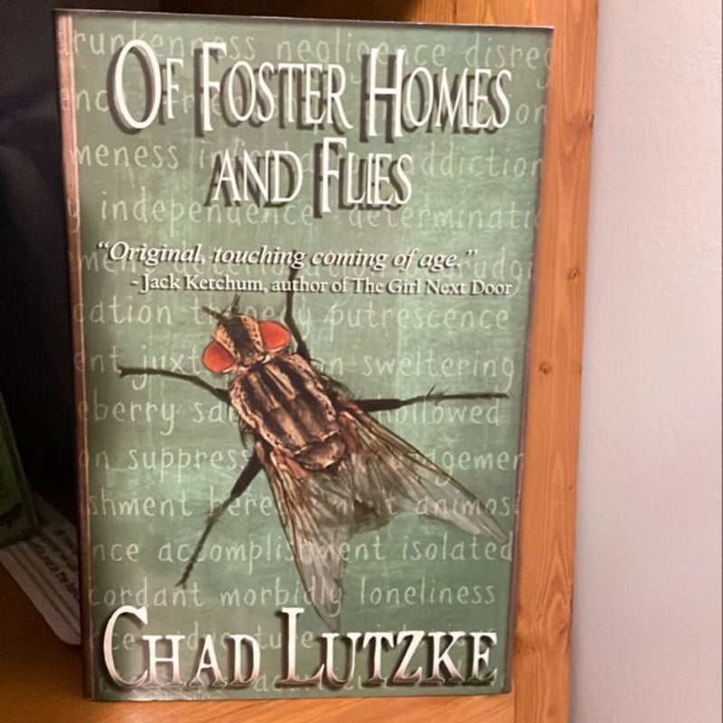 Of Foster Homes and Flies