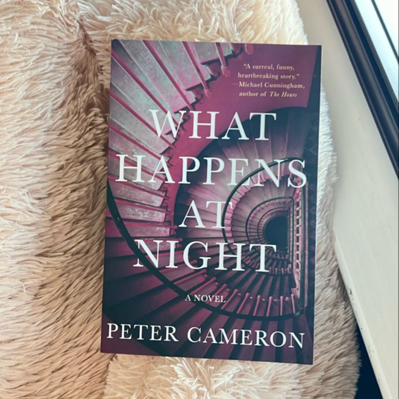What happens at night by peter cameron