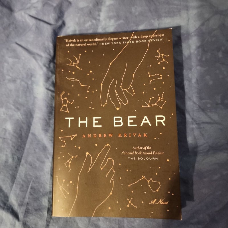 The Bear