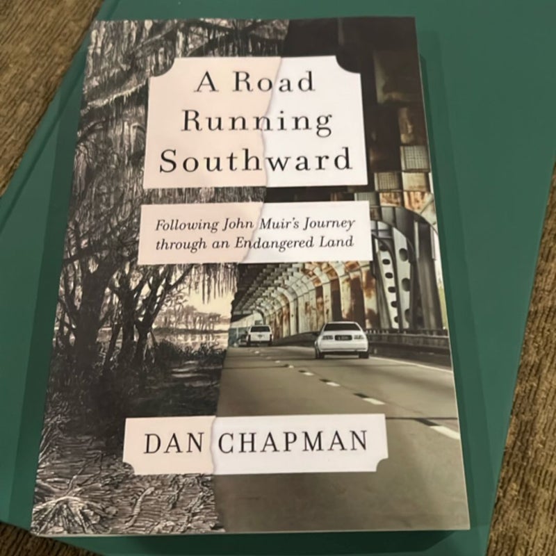 A Road Running Southward