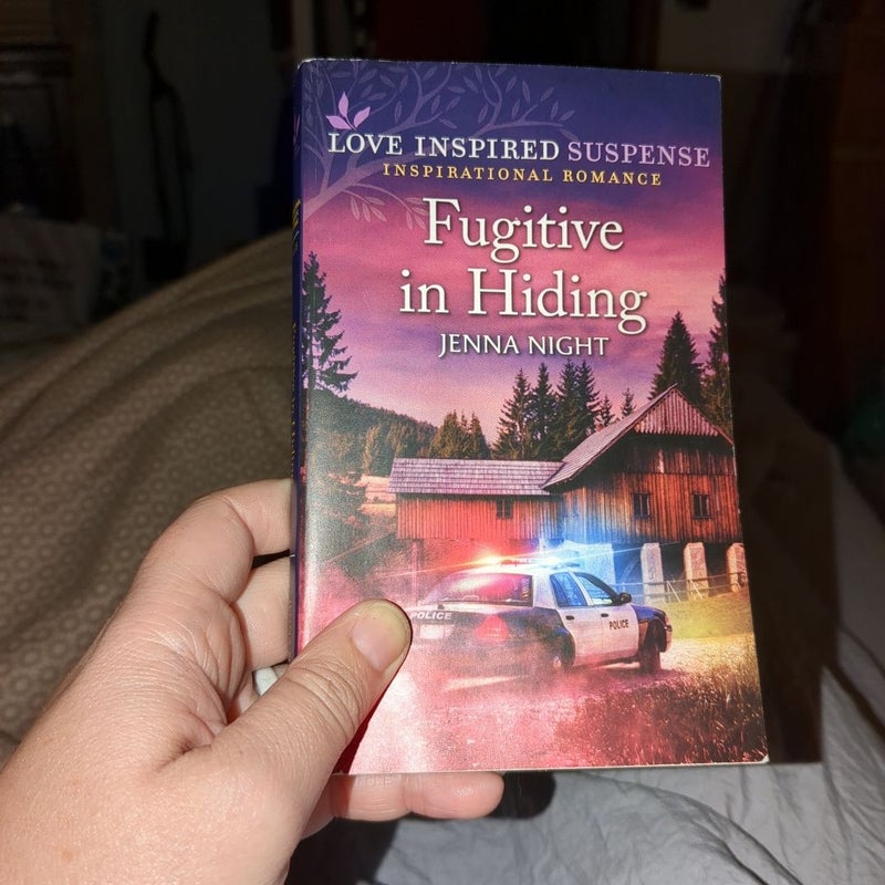 Fugitive in Hiding