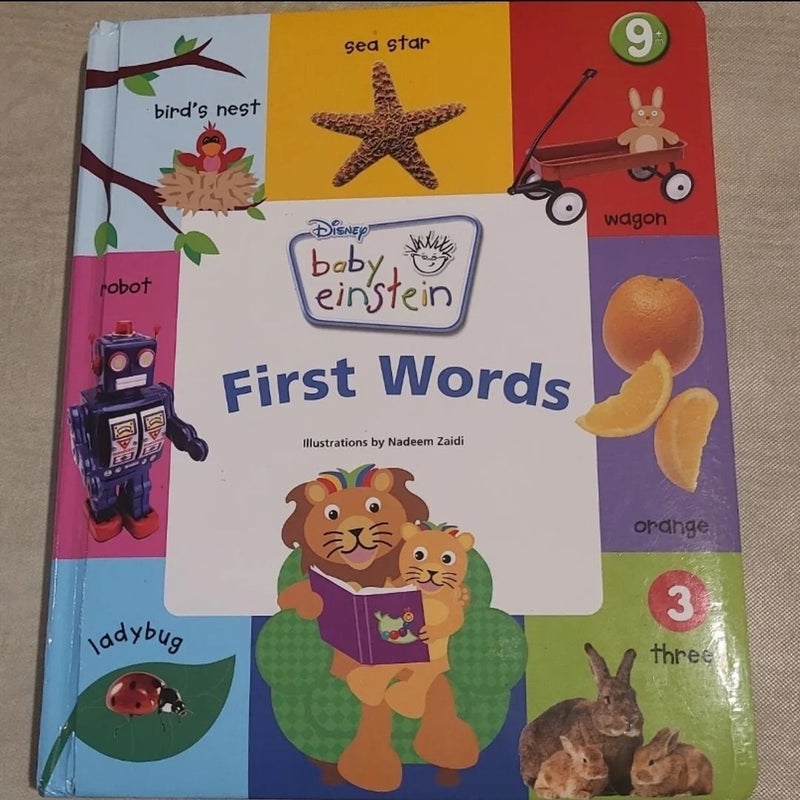 First Words by Julie Aigner Clark Hardcover Pangobooks