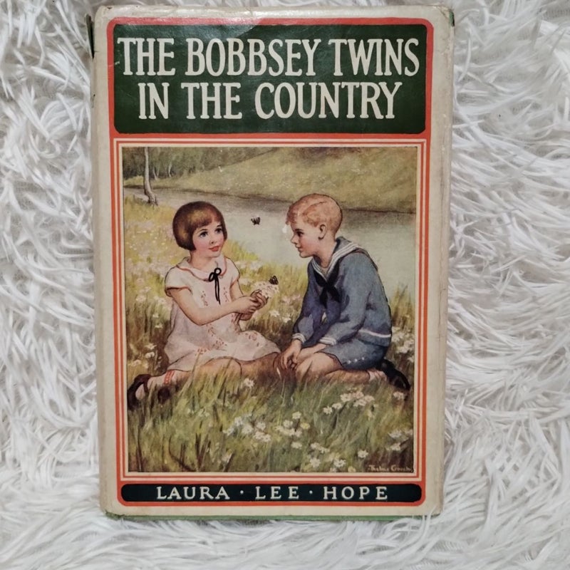 BUNDLE: The Bobbsey Twins 