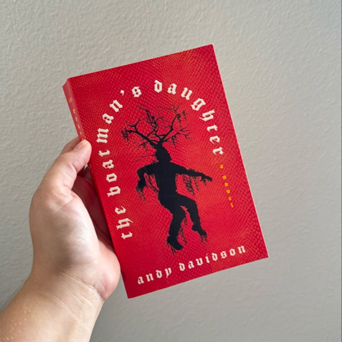 The Boatman's Daughter by Andy Davidson, Paperback | Pangobooks