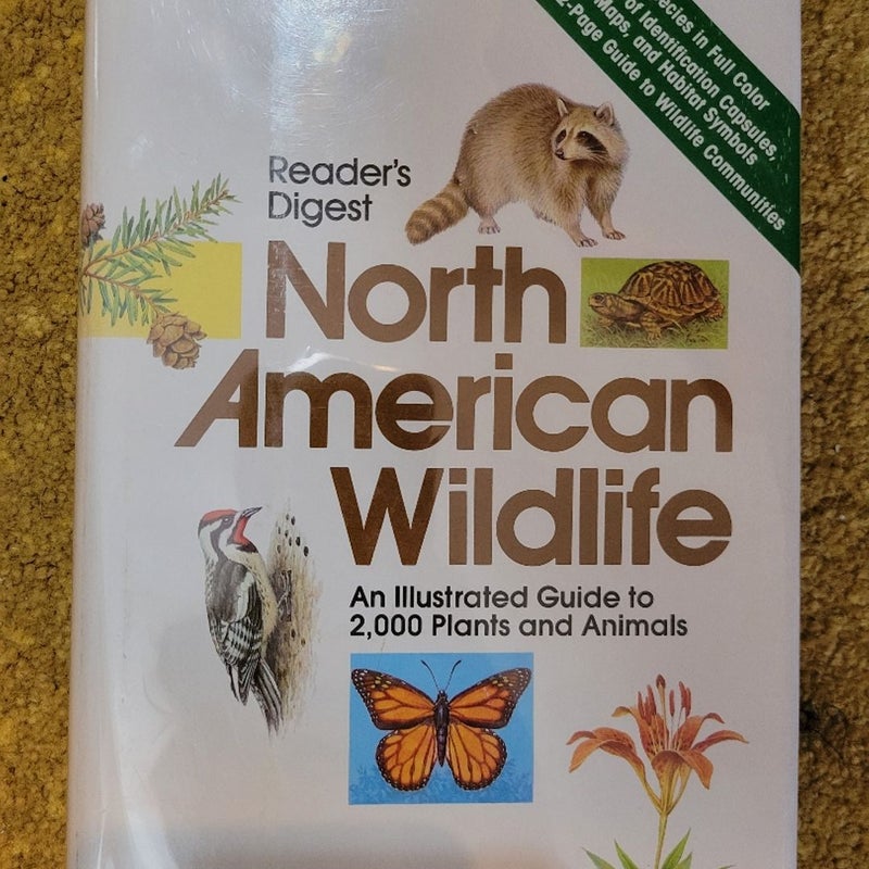 North American Wildlife