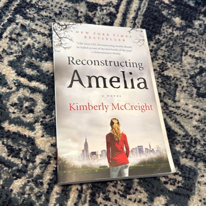 Reconstructing Amelia