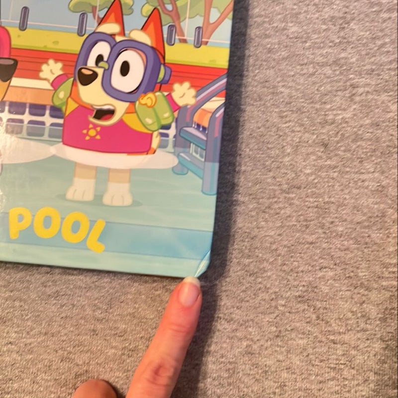 Bluey: the Pool