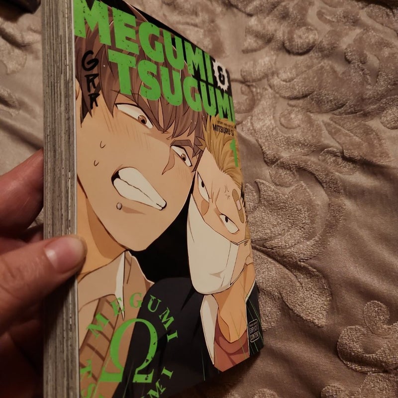 Megumi and Tsugumi, Vol. 1