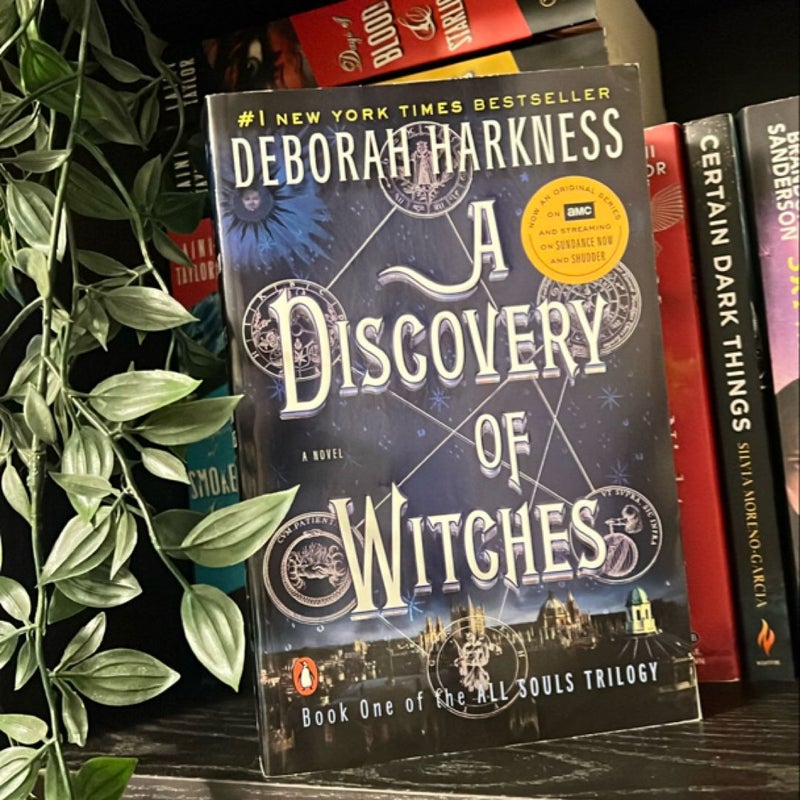 A Discovery of Witches