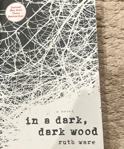 In a Dark, Dark Wood