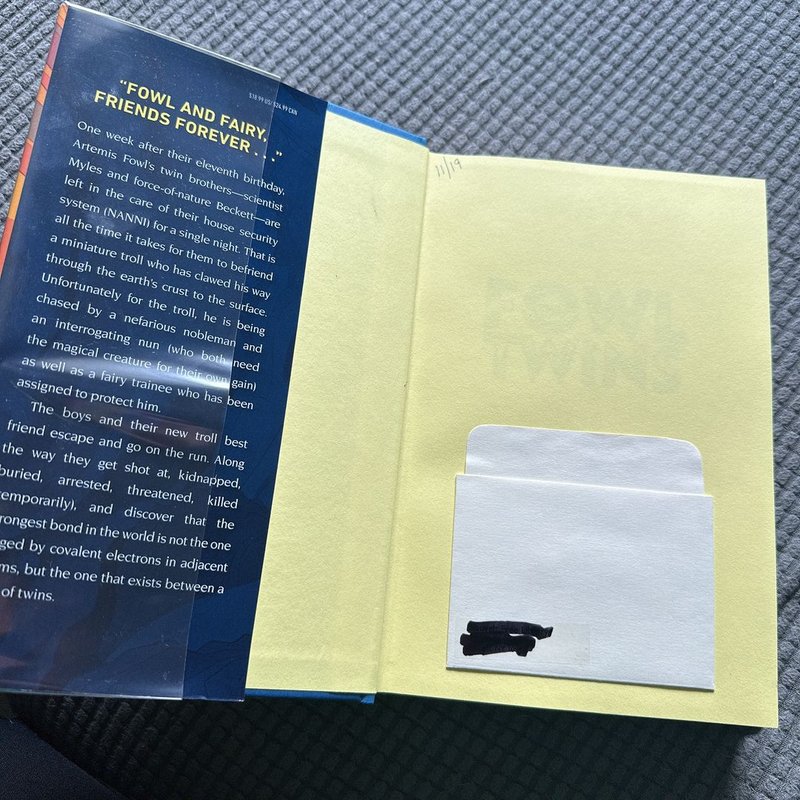 The Fowl Twins (a Fowl Twins Novel, Book 1)