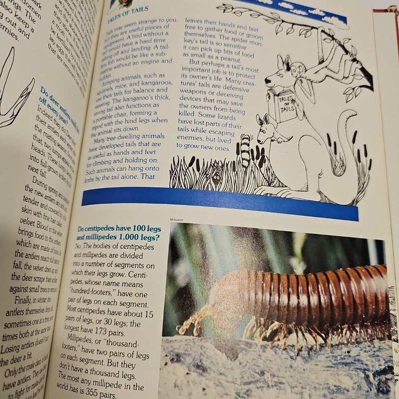Ranger Rick's Answer Book